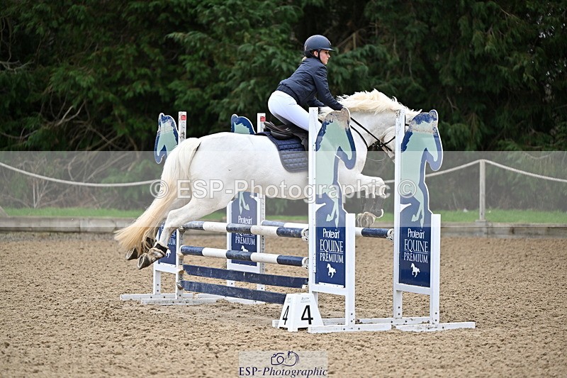 250201A-093504-00017 - Cls 01 Local Horse 90cm