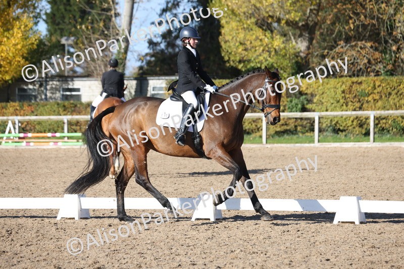 20251102-0880 - Class 5 - Elementary 5