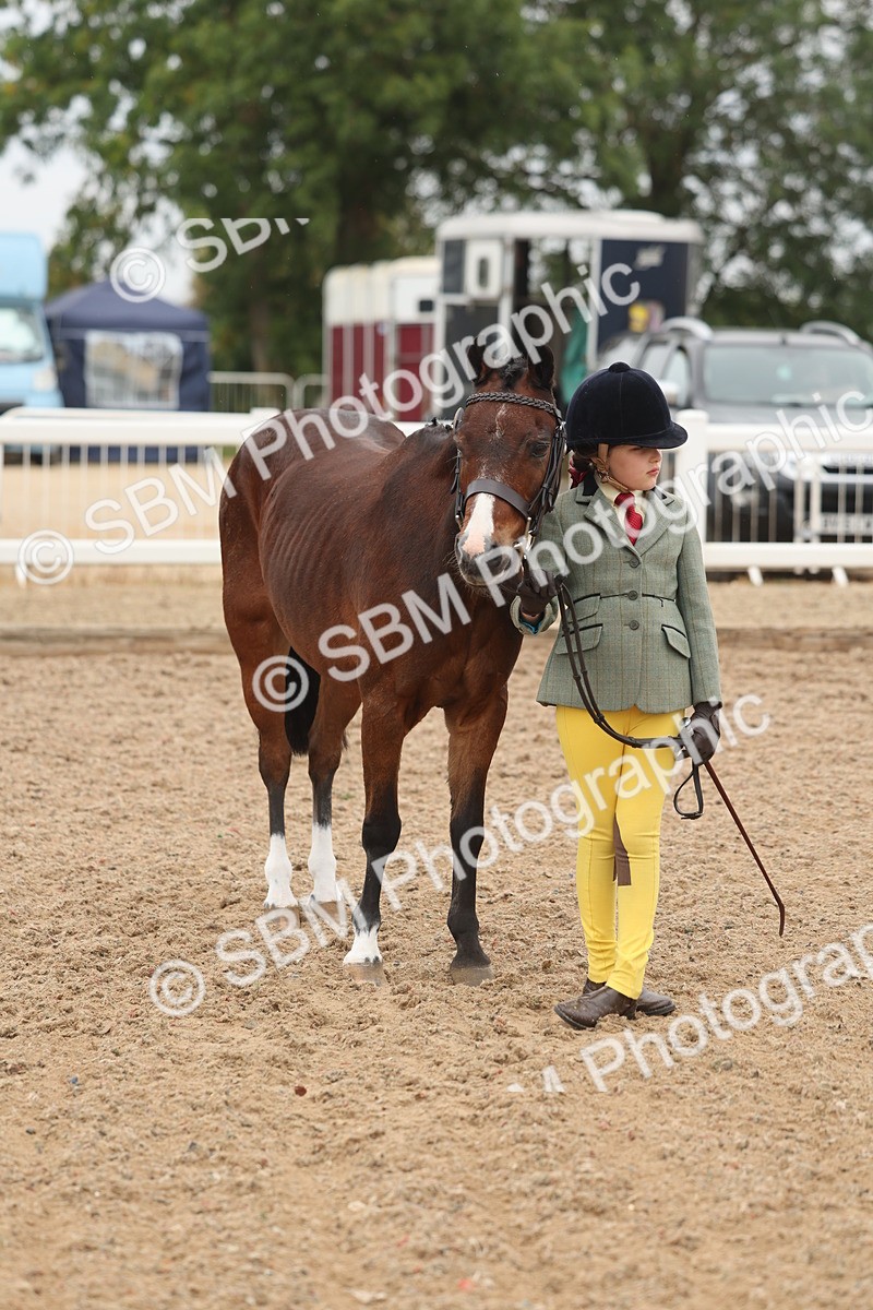 SBM_00538 - Class 13 Young Handler