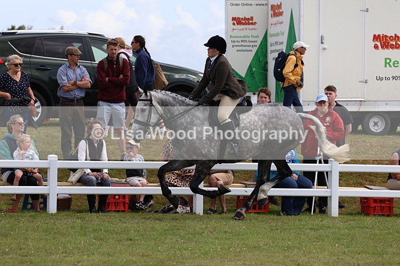 3E7A0638 - Rising Star Ridden Championship