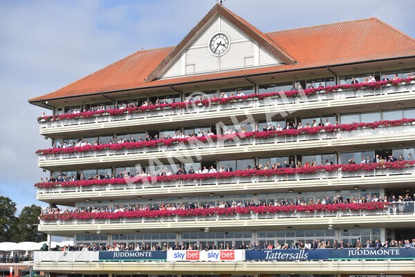 yr18082021r4-69 - Race 4 3.35pm Juddmonte International Stakes (British Champion Series race)