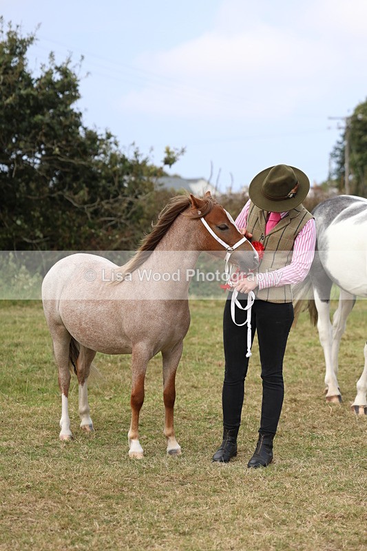 3E7A5429 - Class 19: Best Coloured in Hand