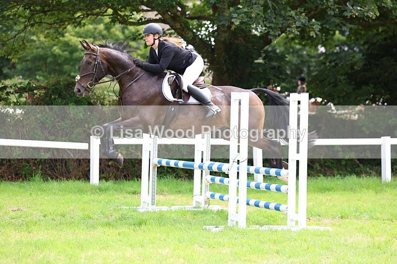 3E7A6910 - Class 5: Senior British Novice/90cm open