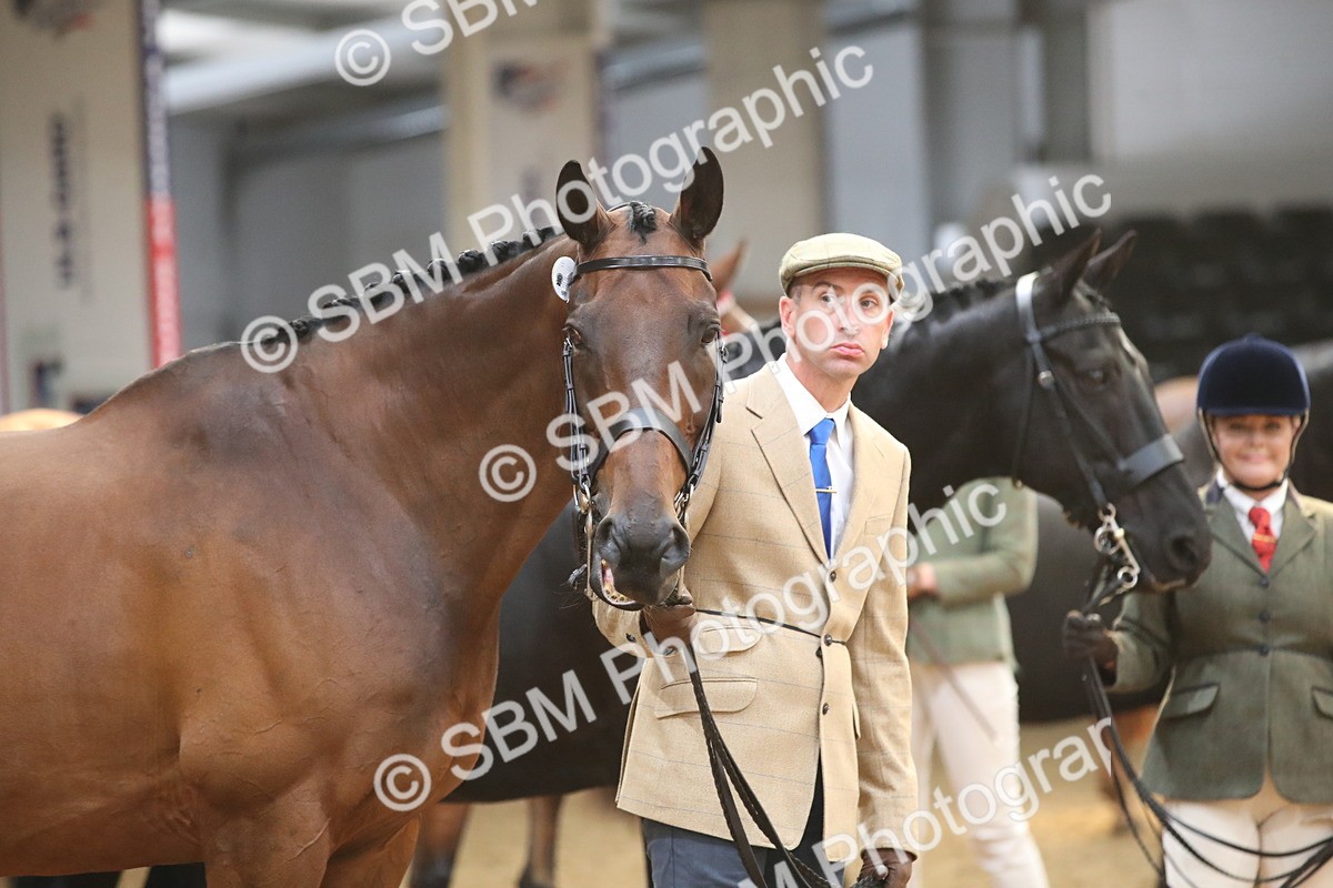 SBM_05611 - Class 9R - Regional IH Pre-Vet