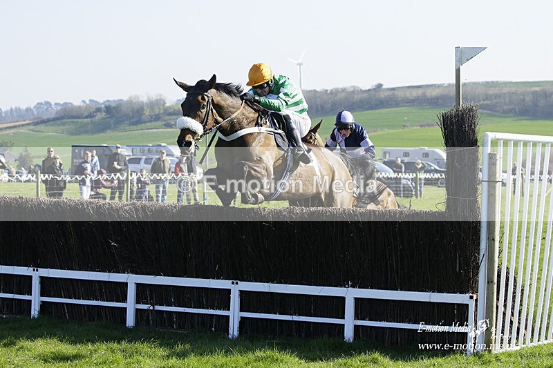 PtP 190322 585 - Wilton Hunt PtP Milborne St Andrew 19/03/22