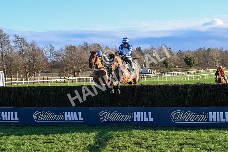 010125-Race 2-Beat The Edge-5858 - Race 2