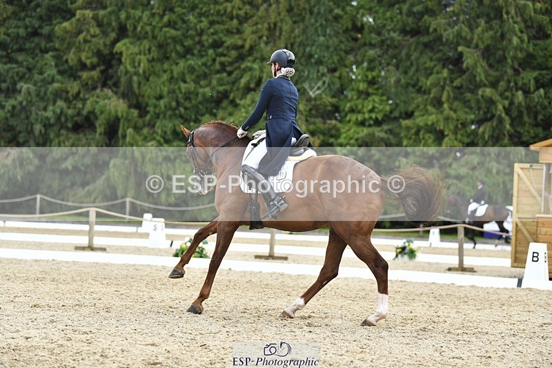 230812-141023-04622 - Cls 7 FEI PSG Bronze