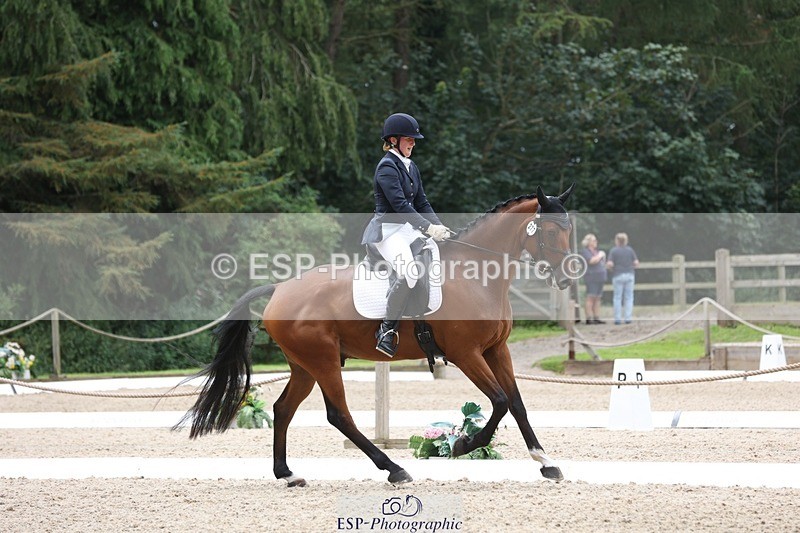 230812-115339-03887 - Cls 5 Novice Bronze 11.15 to 12.50 break