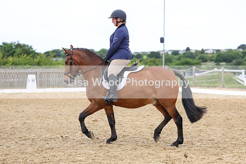 3E7A9552 - Class 2: Intro 1 2024 Section B