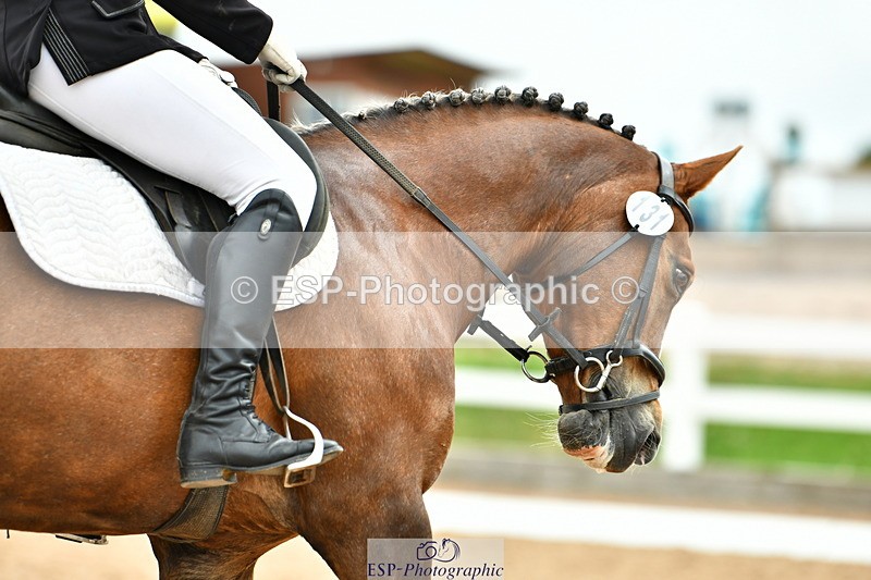 230630A-102023-00311 - Cls 2 Prelim 19