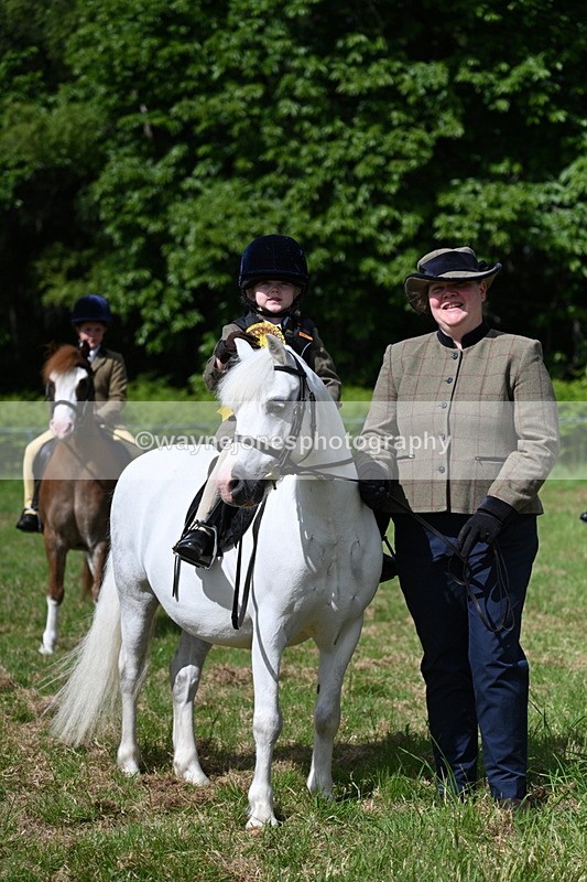 WJ7_0850 - Class 8 First Rally Pony