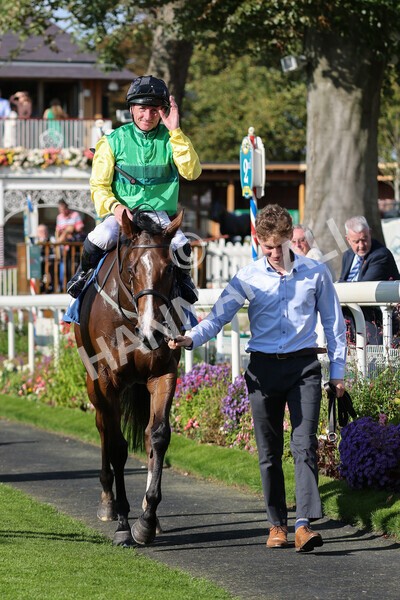 yr08102021r2-30 - Race 2 2.40pm Racing to School EBF Novice Stakes