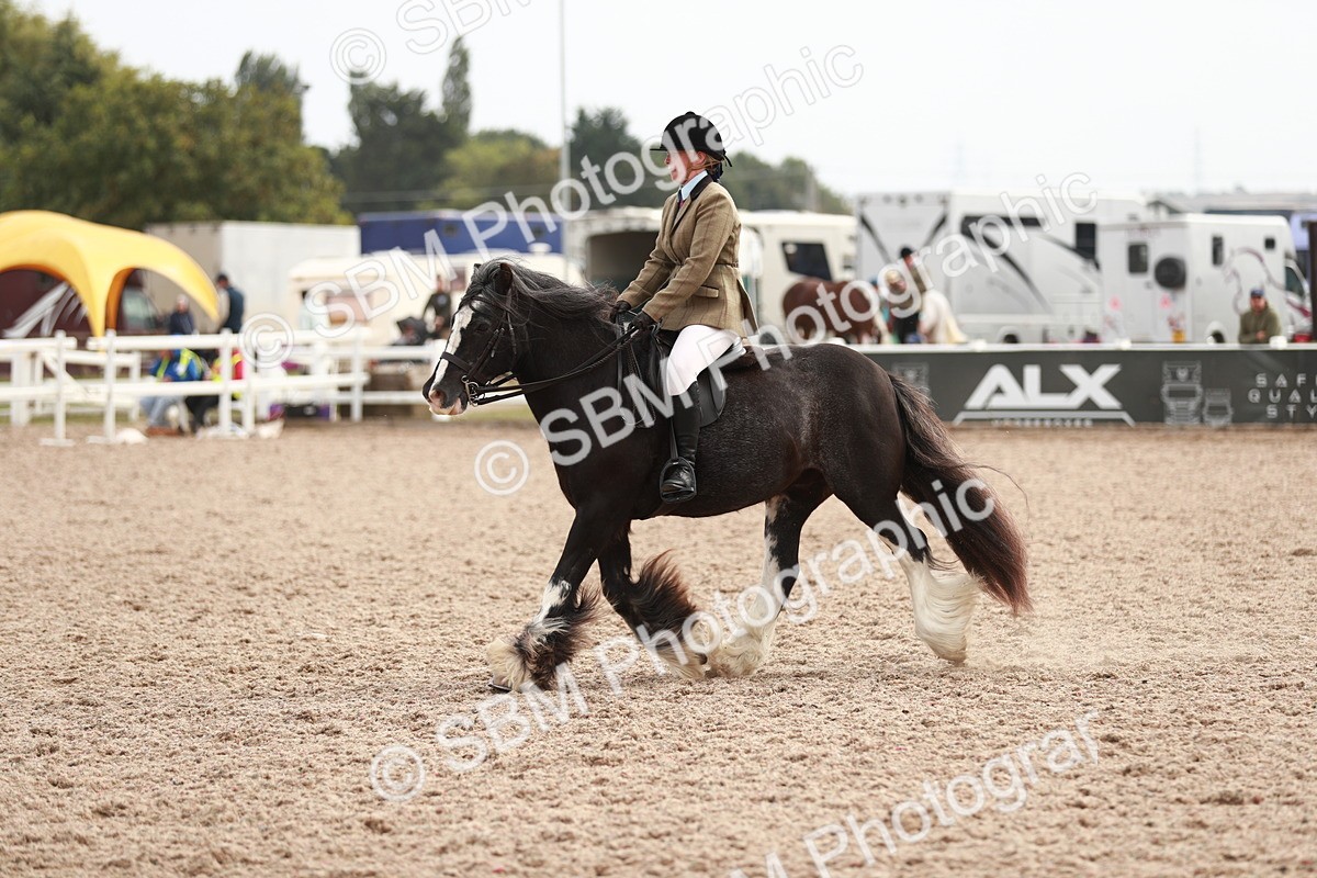 SBM_16788 - Class 214 Ridden Cob