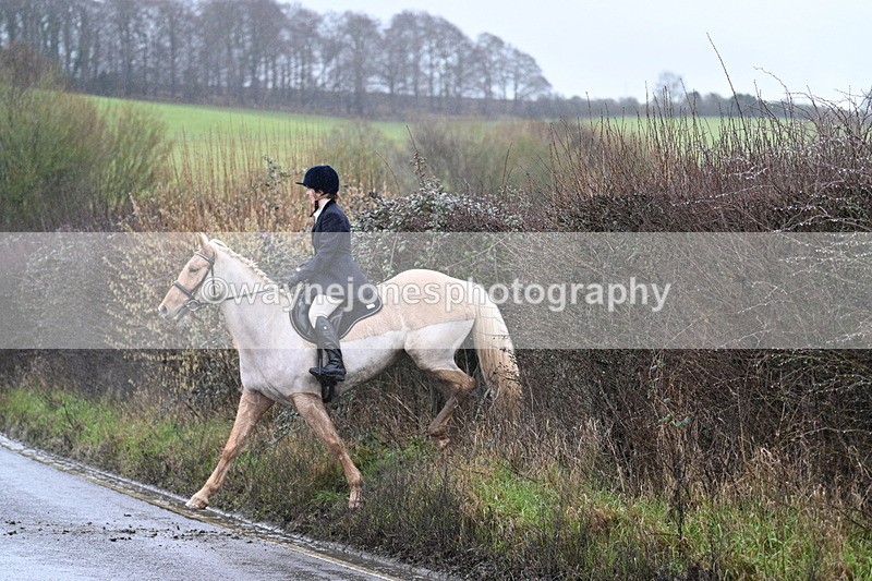 WJ7_7122 - Crossing A Camera