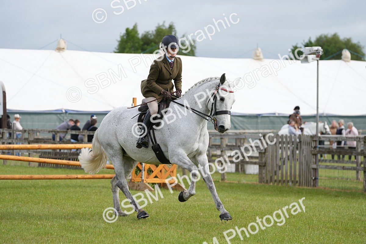 SBM_10602 - Class 97-98 - LIHS BSHA Rising Star Working Show Horse Hunter