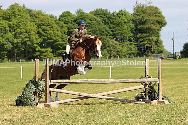 IMG_4723 - Working Hunter