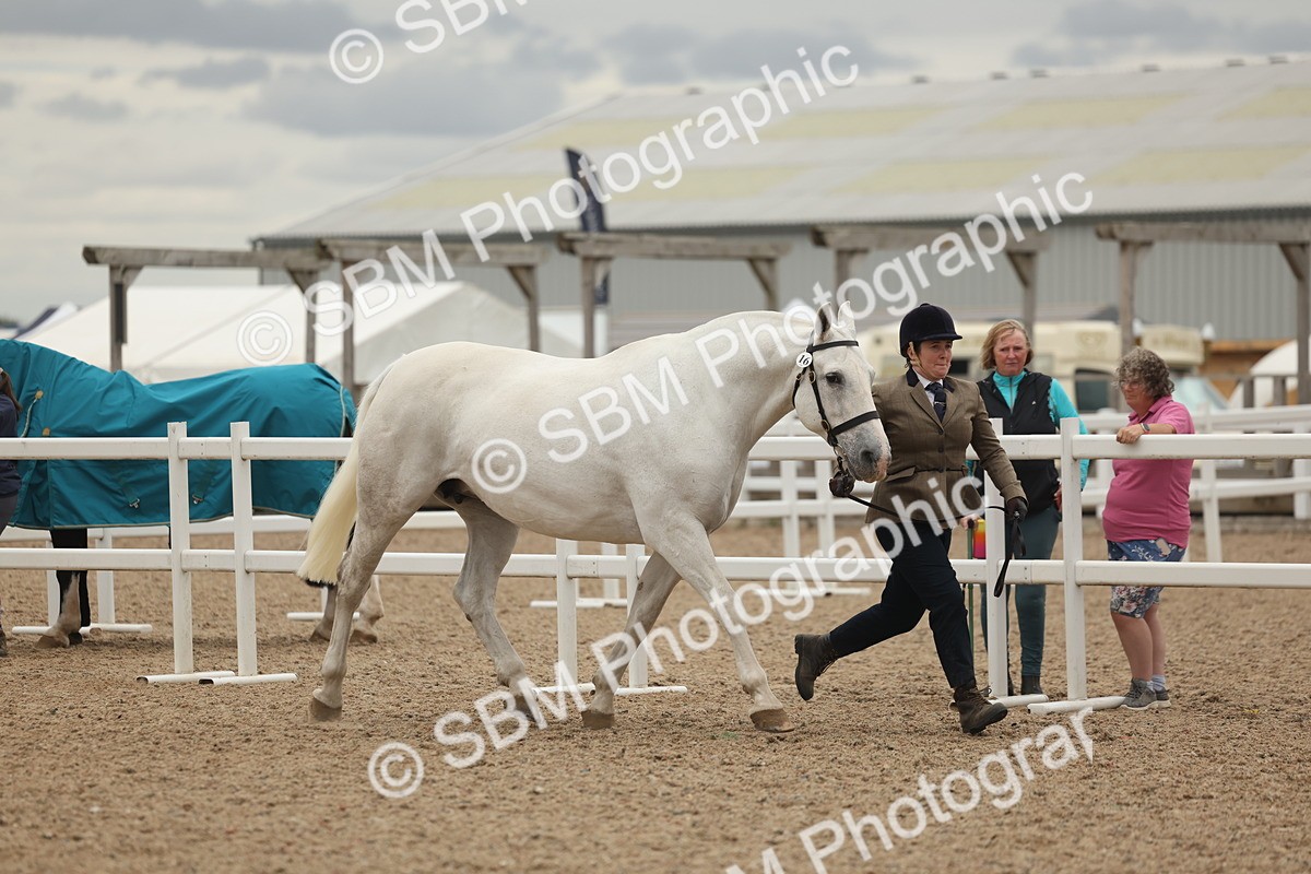 SBM_19277 - Class 317 - IH Pure Bred Horse-Pony