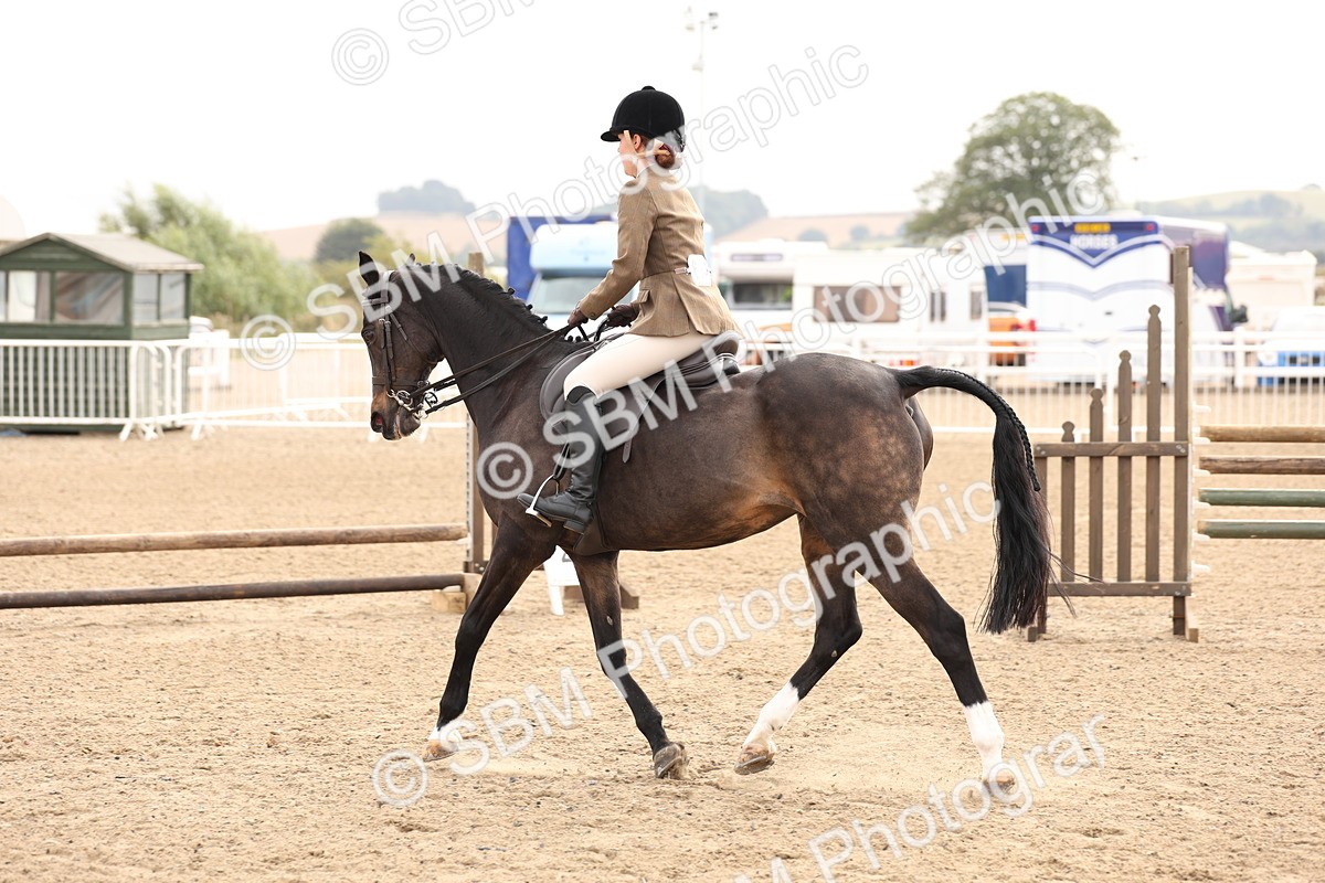 SBM_01537 - Class 52 - Ridden Veteran
