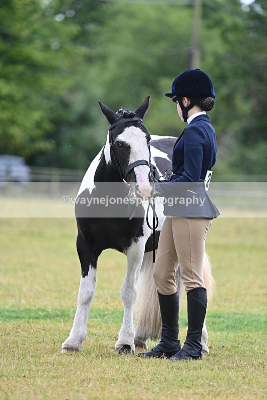 WJ7_5893 - Class 4 Prettiest Mare in Hand