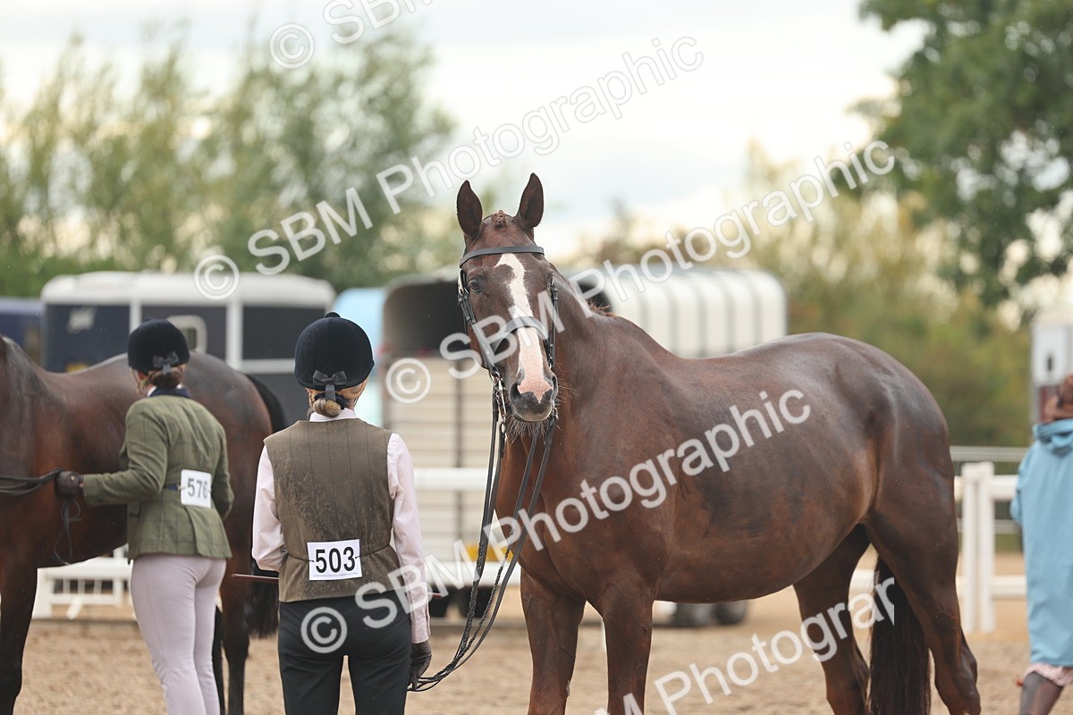SBM_07764 - Class 27 - IH Competition Horse/Pony