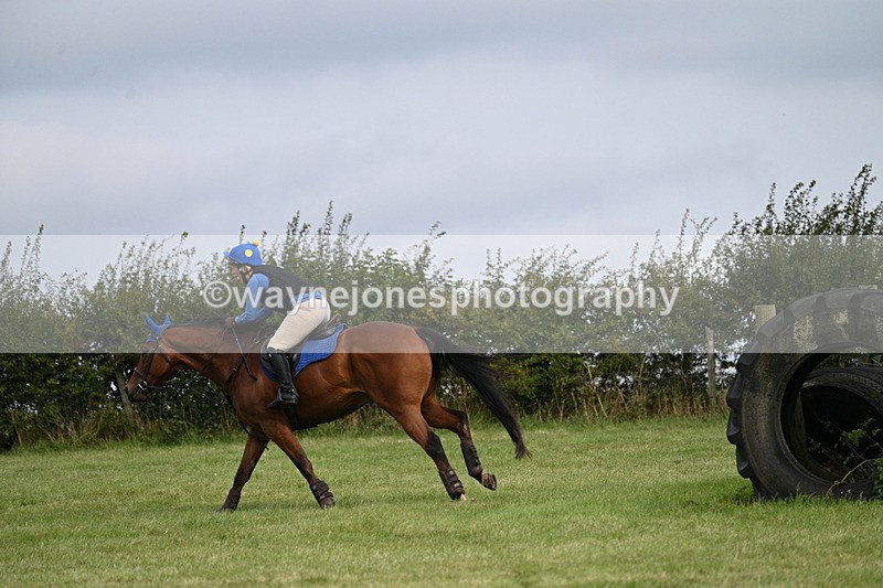 WJ7_6768 - Time 12:00 to 12:17