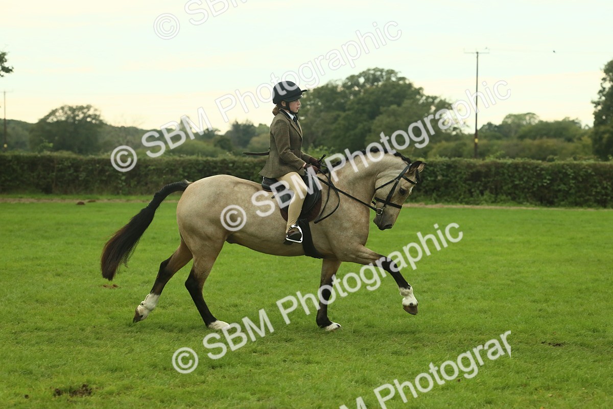 SBM_73936 - S 61 - Show Pony & Show Hunter Pony Ridden