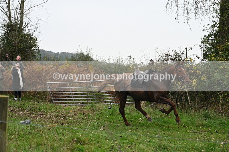 WJ7_8005 - Cam 1