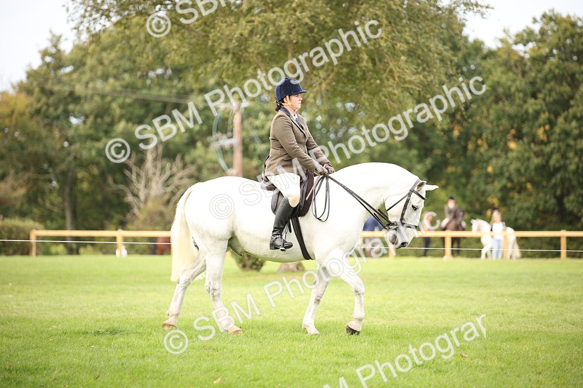SBM_72345 - S67 - Show Cob Ridden