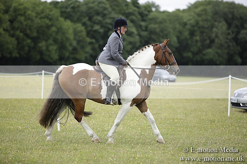 BVR160717-1873 - Ring 1 BVRC Show 16/07/17