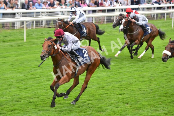 yr20082021r3-26 - Race 3 3.00pm Al Basti Equiworld Dubai Gimcrack Stakes