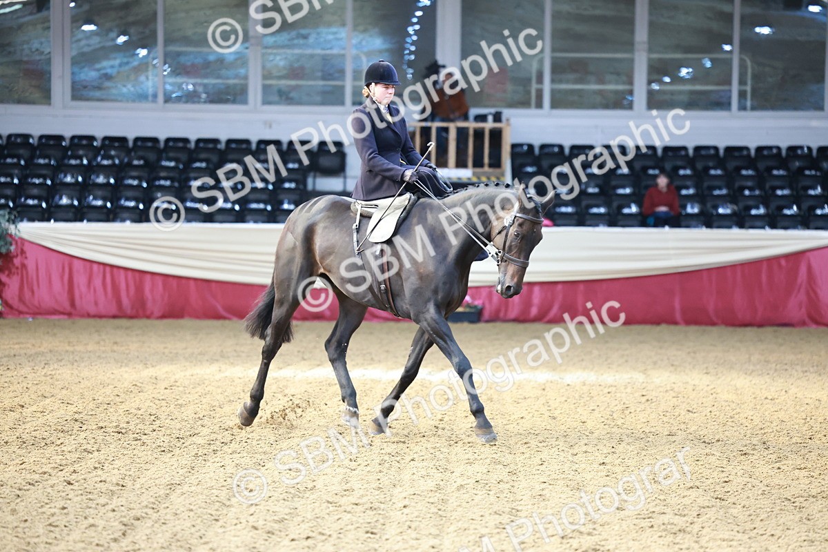 SBM_11947 - Class 102 - Equitation (Best Rider) Adult