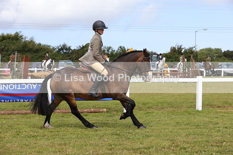 1X9A3989 - Class 32: Show Hunter Pony 153cm and under