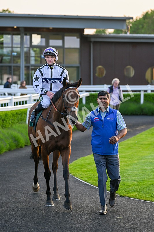 310524-Race 5-Dusk Dame-8975 - Race 5