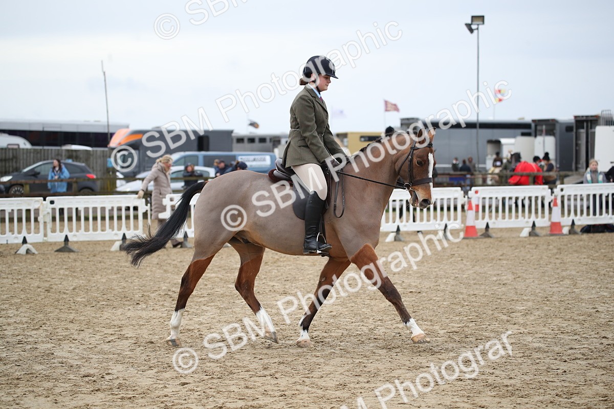SBM_004758 - Class 5-9 - NPS In Hand-Show Hunter-Intermediate Ridden Inc Ridden Championship