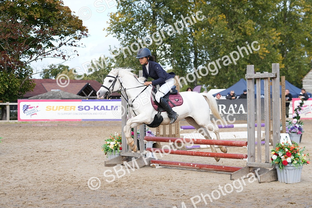 SBM_40810 - Supreme Championship Pony 50-55cm
