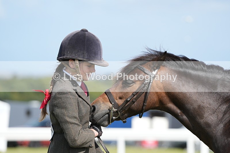 DSC07642 - Class 62: Child Handler