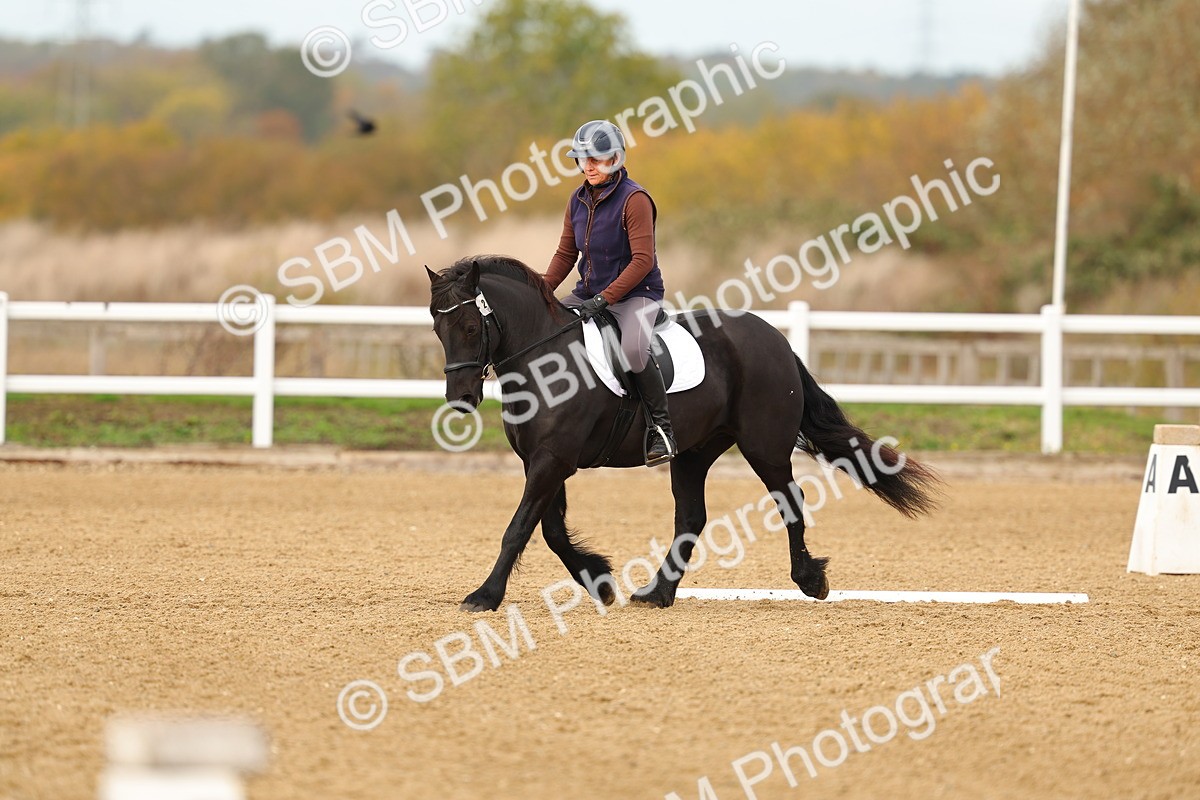 SBM_000677 - Class 3-12 - CT P2 60cm - DR P2