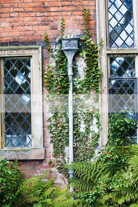 20100822_0309 - Miscellaneous Photographs