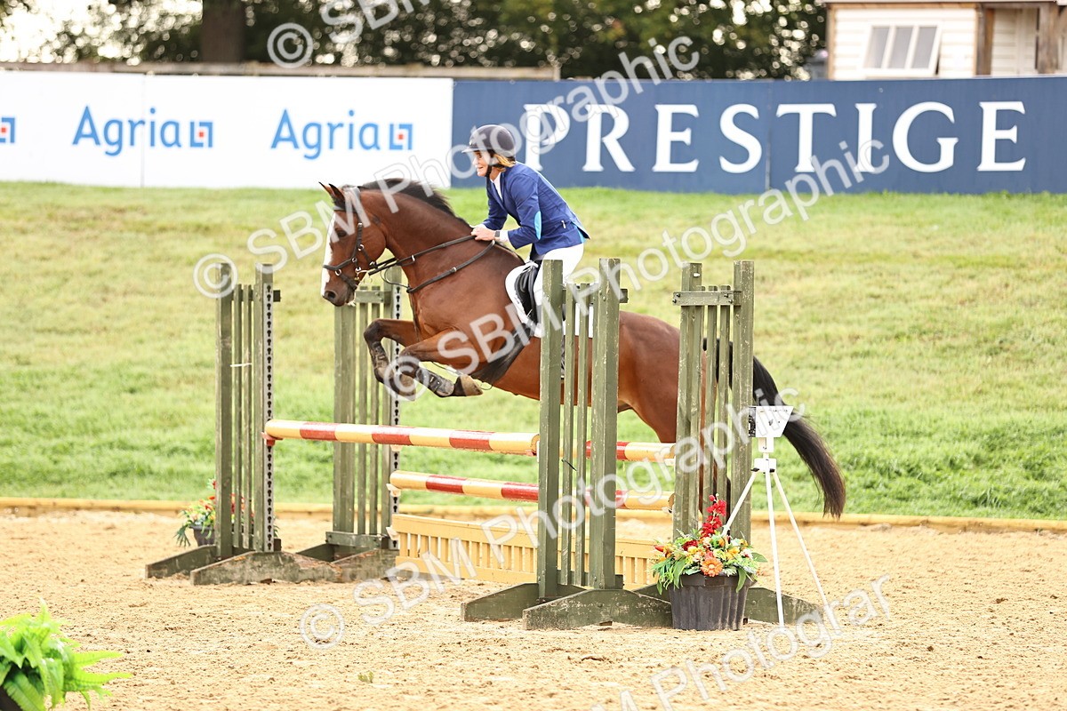 SBM_58232 - J41 - Grand Tour Horse & Pony 95cm