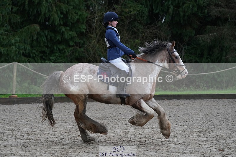 260208A-102623-01442 - 2. 80cm - 85cm