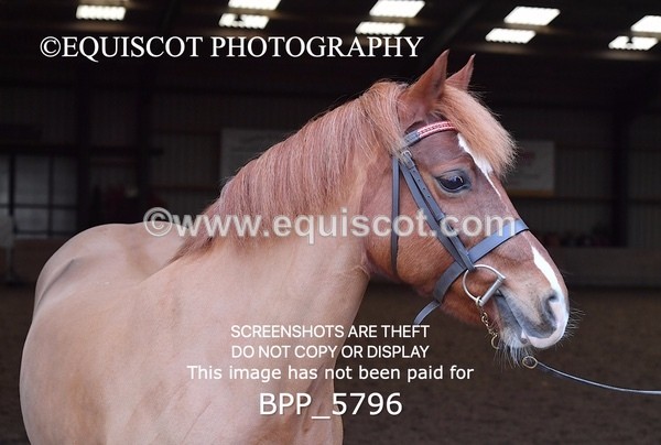 BPP_5796 - Sarah Page