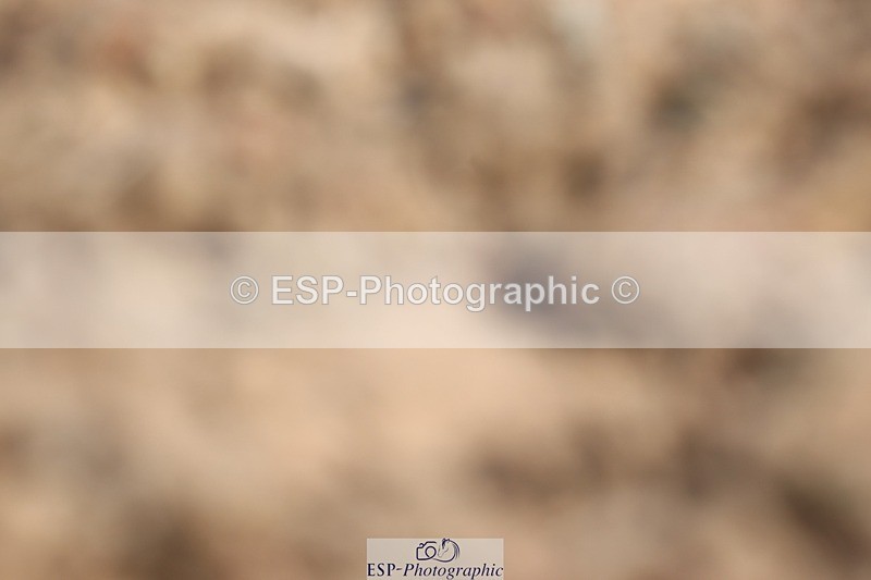 250622-091853-13497 - Cls 45 Prelim 6, Start to 9.50am