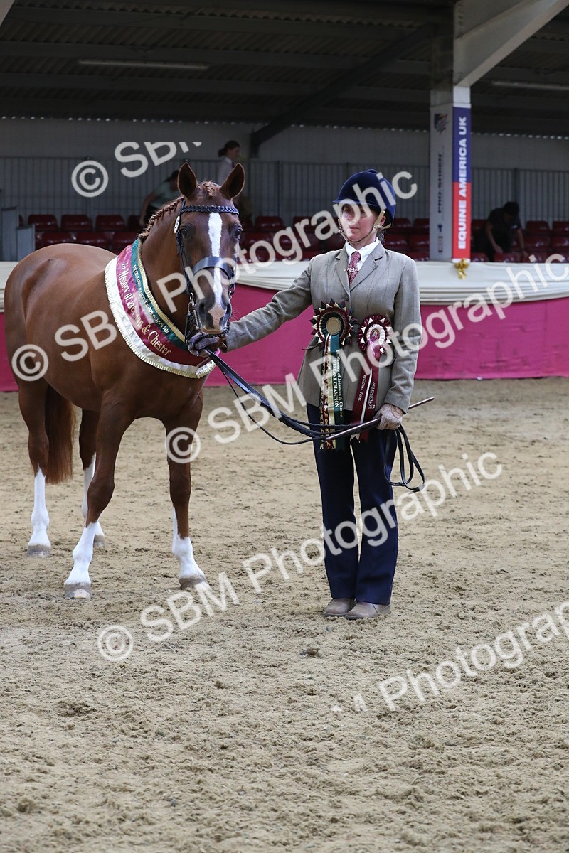 SBM_06564 - Regional IH Champ