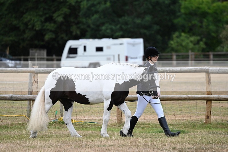 WJ6_4144 - Class 10 Coloured In-hand