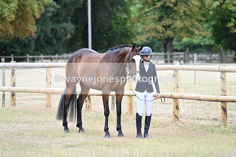 WJ7_8778 - Class 4a Prettiest Mare 14.2hh and over