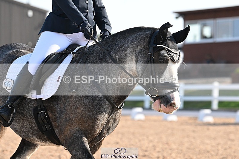 250816-091024-02852 - 055-Neve.HollowaySD.Out.of.the.Blue