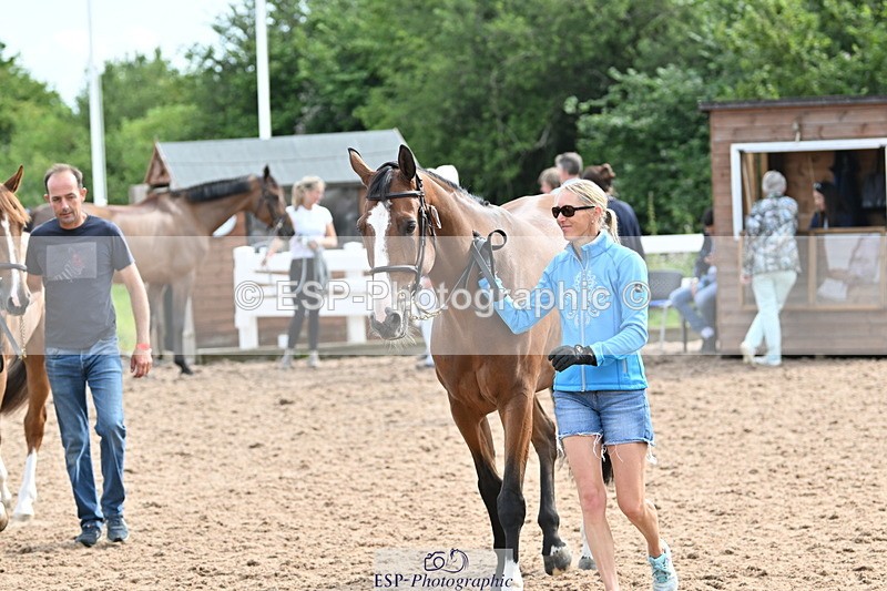 240717A-165545-03545 - Trot Up 4pm to 5pm