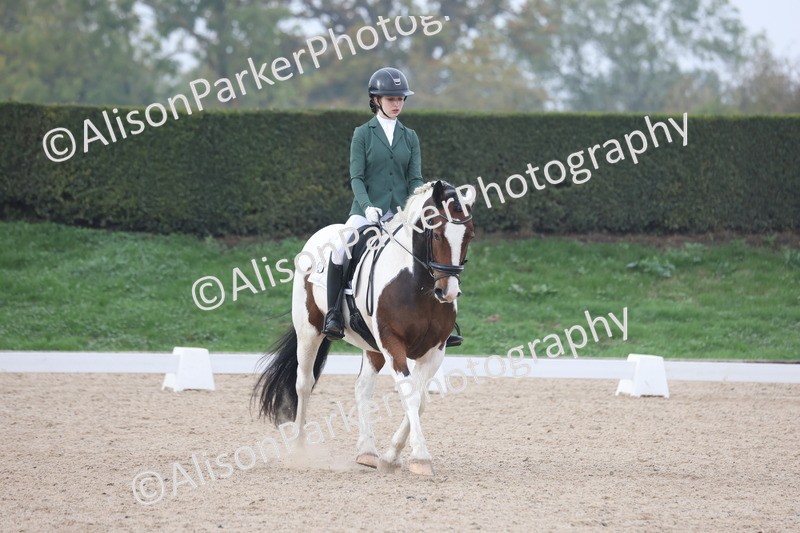 20251012-0674 - Class 6 - Elementary 6