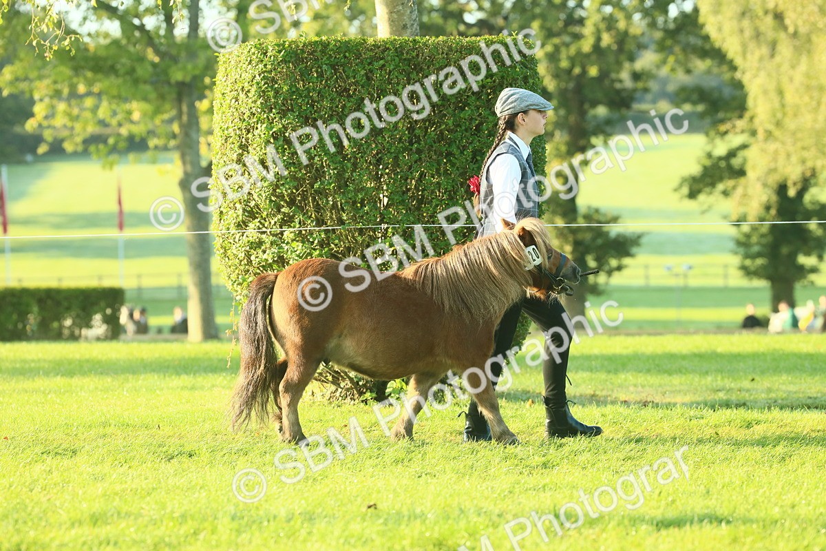 SBM_57280 - S37 - Starters In Hand Showing