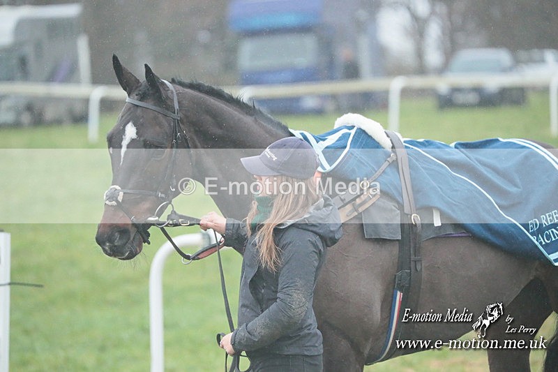PtP 101223 186 - New Forest Hounds PtP Larkhill 10/12/23